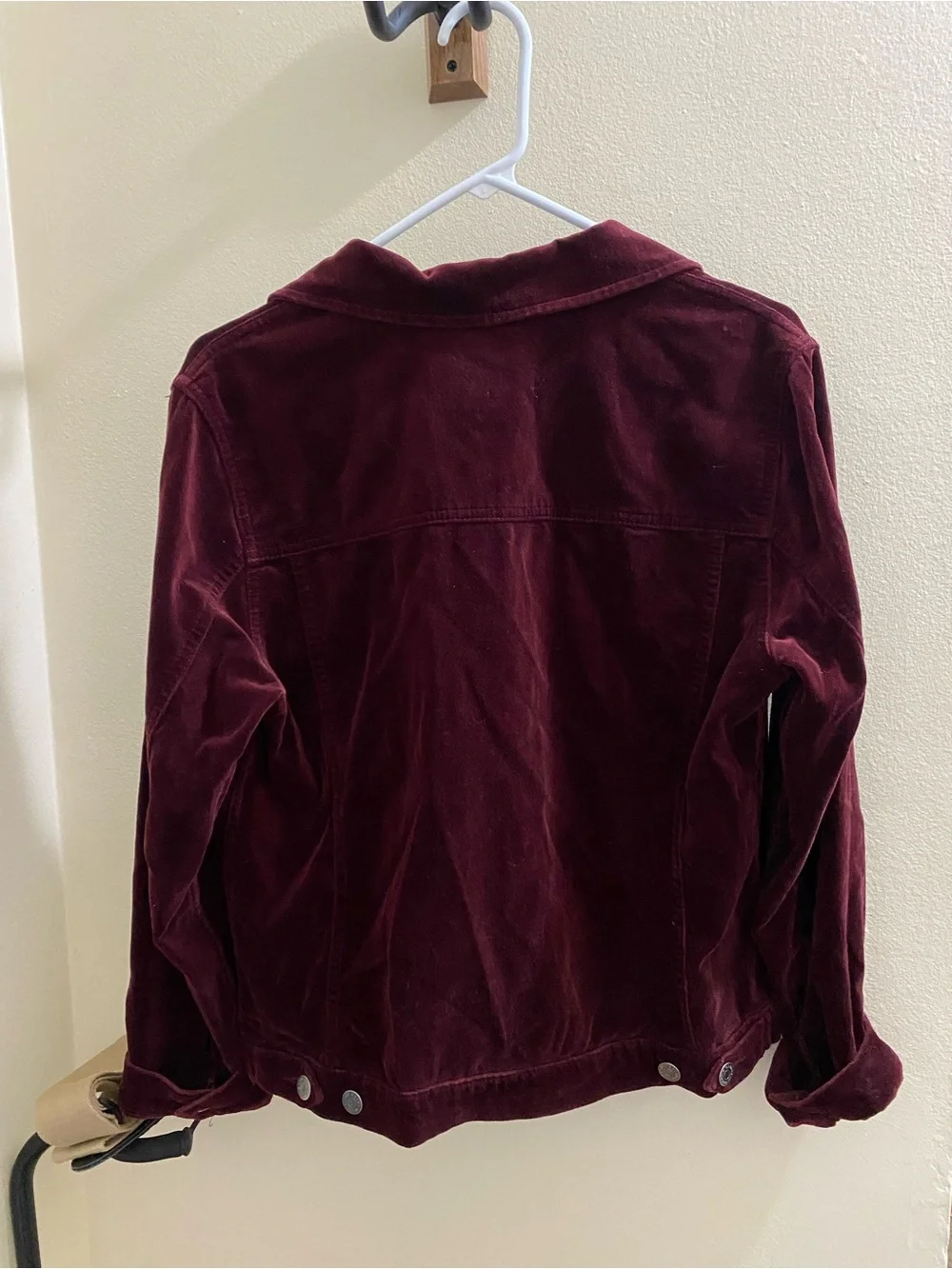Eddie Bauer Women's Velvet Jacket in Burgundy